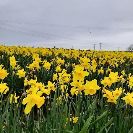 Cosy Country Getaway, 5 Mins From The Sea Villa Penzance Eksteriør billede